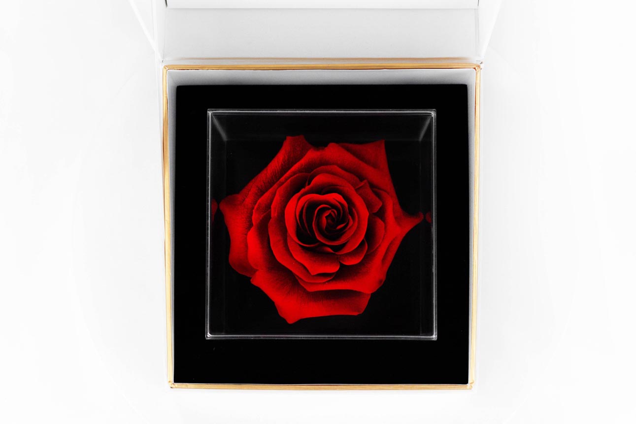 red rose - una grande collection-top view