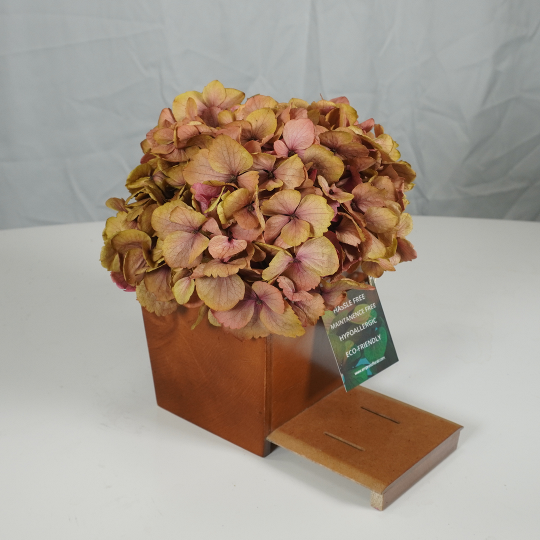 Single Hydrangea Table Piece in Wood Box