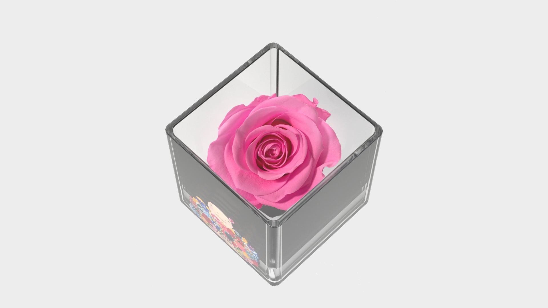 Eva Armisén x Empress Flora's Single Rose Glass Jar