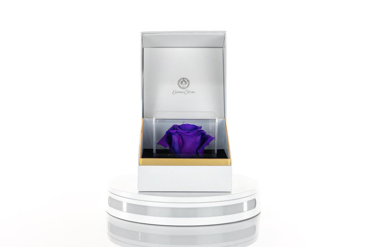 purple rose - una collection