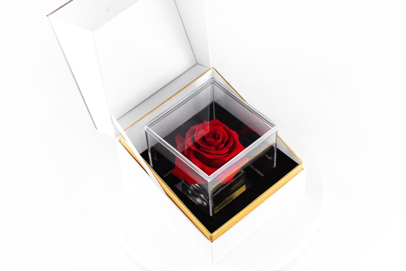 red rose - una grande collection-diagional view